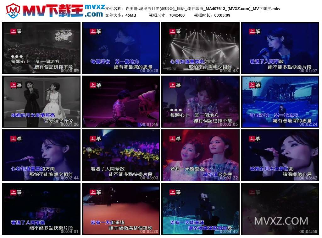 许美静-城里的月光(演唱会)_国语_流行歌曲_MA407612